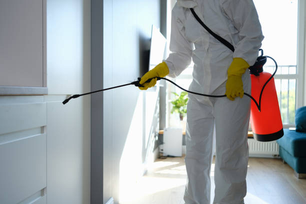 Best Biohazard Mold Removal  in Pretty Bayou, FL