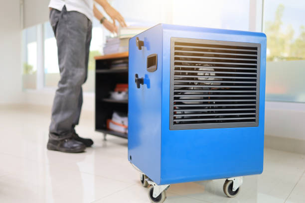 Best Mold Prevention Services  in Pretty Bayou, FL
