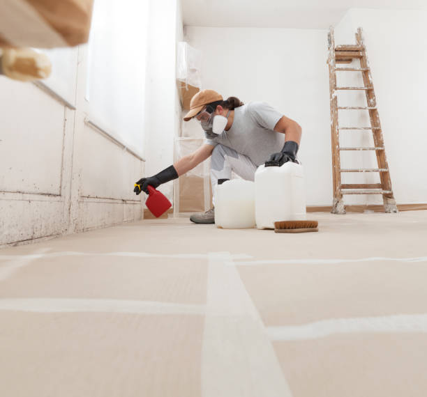 Best Real Estate Mold Inspection  in Pretty Bayou, FL